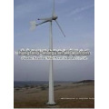 Fácil de começar CE certificação 10KW vento poder gerador de vento baixo